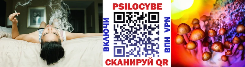 Купить закладки  Багратионовск  Псилоцибиновые грибы мухоморы 